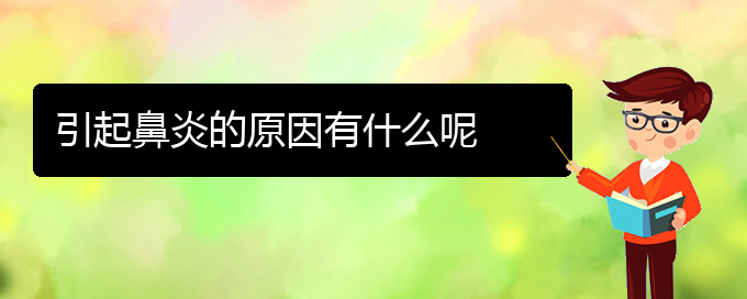 (貴陽治療過敏性鼻炎哪個醫(yī)院極好)引起鼻炎的原因有什么呢(圖1)