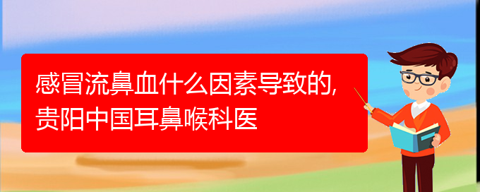 感冒流鼻血什么因素導(dǎo)致的,貴陽(yáng)中國(guó)耳鼻喉科醫(yī)(圖1)