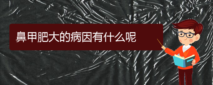 (貴陽哪里治療鼻甲肥大好)鼻甲肥大的病因有什么呢(圖1)