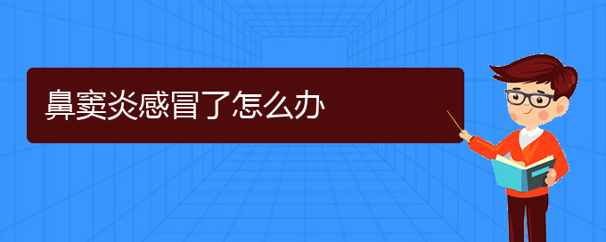 (貴陽治療慢性鼻竇炎醫(yī)院)鼻竇炎感冒了怎么辦(圖1)