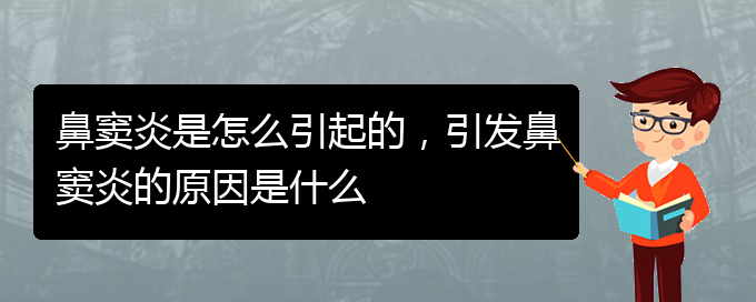 (鼻竇炎治療醫(yī)院貴陽)鼻竇炎是怎么引起的，引發(fā)鼻竇炎的原因是什么(圖1)